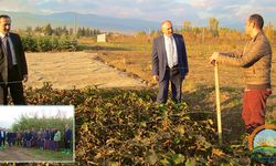 Fidanlık Şefliği’ne Üst Düzey Ziyaret