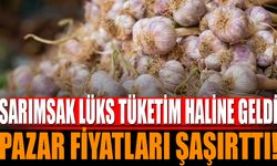 Sarımsak Lüks Tüketim Haline Geldi! Pazar Fiyatları Şaşırttı