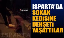 Isparta'da Sokak Kedisine Dehş*ti Yaşattılar (Video Haber)