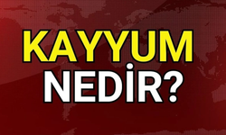 Kayyum Nedir? Kayyum Atamak Ne Demek ? Neden Kayyum Atanır?