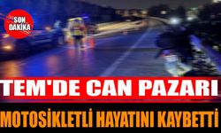 TEM'de Can Pazarı: Motosikletli Hayatını Kaybetti