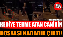 Kediye Tekme Atan Caninin Dosyası Kabarık Çıktı!