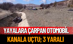 Yayalara Çarpan Otomobil Kanala Uçtu; 3 Yaralı