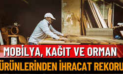 Mobilya, Kağıt Ve Orman Ürünlerinden İhracat Rekoru