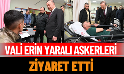 Vali Erin Yaralı Askerleri Ziyaret Etti