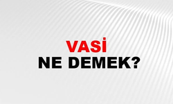 Vasi Ataması: Kimler Vasi Olabilir, Süreç Nasıl İşler?