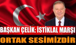 Başkan Çelik: İstiklal Marşı Ortak Sesimizdir