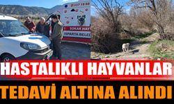 Isparta’da Hastalıklı Hayvanlar Tedavi Altına Alındı