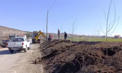 Yeşilova Belediyesi’nden Doğaya Nefes