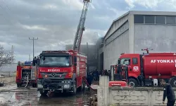 Afyonkarahisar OSB’de Kereste İşletmesinde Yangın Paniği