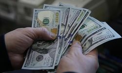 ABD'ye İhracat 7 Milyon Dolar Hacmine Rrişti