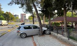 Aydınlatma Direğine Çarptı, Ortalık Savaş Slanına Döndü