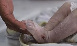 Denizli Barosu’ndan Çocuk Şiddetine Sert Tepki