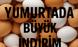 Yumurtada Büyük İndirim! Fiyatlar Yüzde 50 Düştü, Tüketici Rahatladı