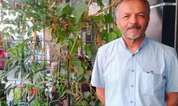 Zirai Don Üç Kesimi Birleştirdi: “Çiftçi, Pazarcı, Tüketici Aynı Anda Mutsuz”
