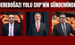 Dereboğazı Yolu Yine Gündemde: 25 Yıldır Bitmeyen Çile!
