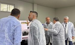 Eğirdir Kaymakamı Ömer Çimşit, Ana Fruit Tasnif ve Paketleme Tesisini Ziyaret Etti