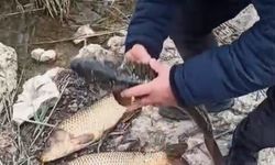 Eğirdir Kovada Gölü’nde Kaçak Avcılara Suçüstü