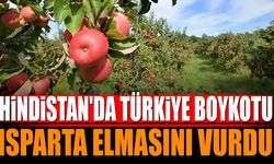 Hindistan’da Türkiye boykotu Isparta elmasını vurdu