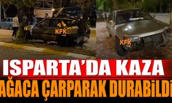 Isparta'da Kaza Ağaca Çarparak Durabildi