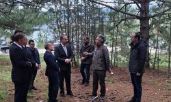 Gölcük Tabiat Parkı’na “Orman Okulu” Projesi