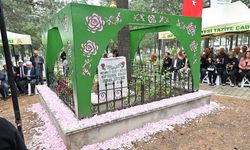 Yağmurla Gelen Bereket Gül Festivali Başladı