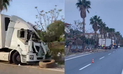 Sebze Yüklü Tır Refüjdeki Palmiye Ağacına Çarptı