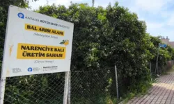 Narenciye balı koruma altında