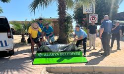 Alman Turist Kleopatra Plajı’nda Hayatını Kaybetti