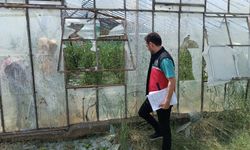 Serik'te Dolu ve Sağanak Sonrası Hasar Tespit Çalışmaları Başladı