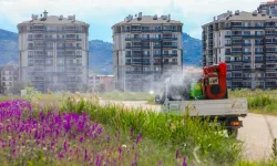 Afyonkarahisar Belediyesi’nden Sinek Sorununa Karşı İlaçlama Çalışması