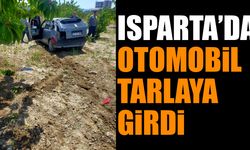Isparta'da kontrolden çıkan araç tarlaya girdi
