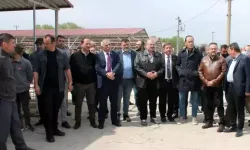 Afyon'da 500 Küçükbaş Teslim Edildi