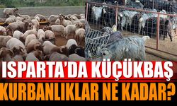 Isparta'da Küçükbaş Kurbanlık Fiyatları Ne Kadar?
