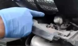 Denizli’de Uyuşturucu Operasyonu