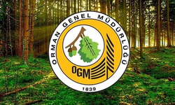 OGM Şoför ve Temizlik Personeli Alımı Sonuçları Açıklandı – Evrak Teslim Tarihleri ve Gerekli Belgeler