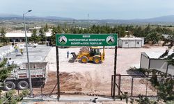 Sahipsiz Hayvanlar İçin Kritik Toplantı