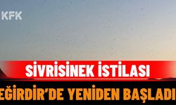 Sivrisinek İstilası Eğirdir’de Yeniden Başladı: Vatandaş Önlem Bekliyor