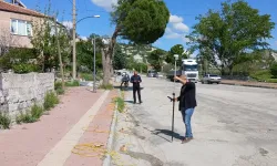 Taşan Suların Kaynağı Araştırılıyor