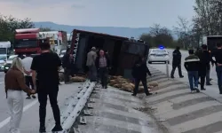 Devrilen Kamyonda 53 Koyun Telef Oldu