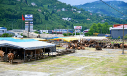 Trabzon Kurban Kesim Yerleri 2025
