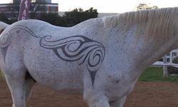 Denizlili Kuaförden Sanat ve Gelenek Harmanı