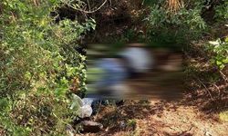Mada Adası Civarında Ölü Bulundu