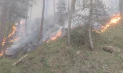 Afyon'da Orman Yangını
