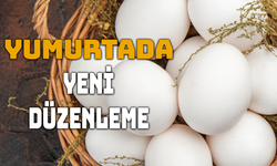Yumurta İhracatında Muafiyet Düzenlemesi