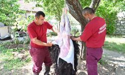 Isparta Belediyesi’nden Bayramda Örnek Hizmet: Kurbanlar Evlerde Kesildi