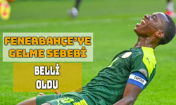 Diouf’un Fenerbahçe Tercihinin Sebebi Belli Oldu