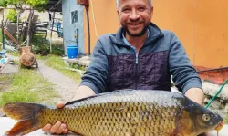 Çameli’de Tarlada Dev Sazan Yakalandı: 7 Kilo, 80 Santimetre