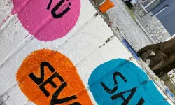 Yenişehir’de Sokaklar Sanatla Şekilleniyor