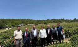 Derya Yanık Isparta'da Gül Hasadına Katıldı